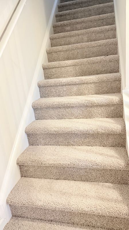 Carpet Installation and Repair