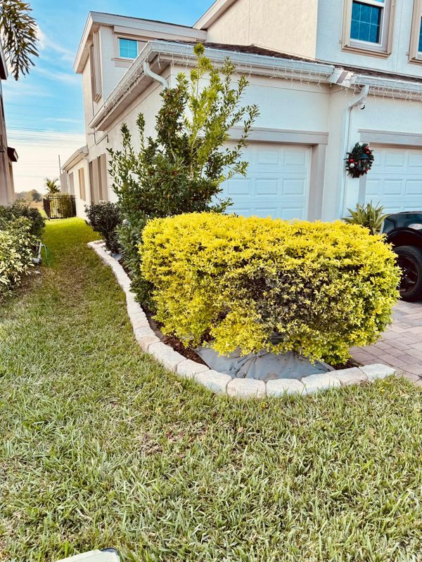 Landscaping