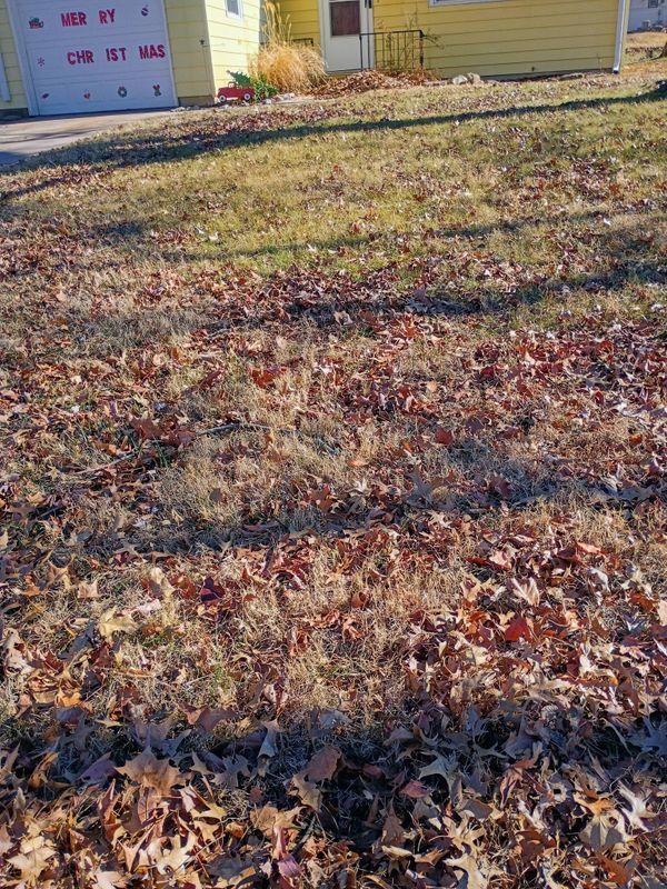 Fall & Spring Cleanup