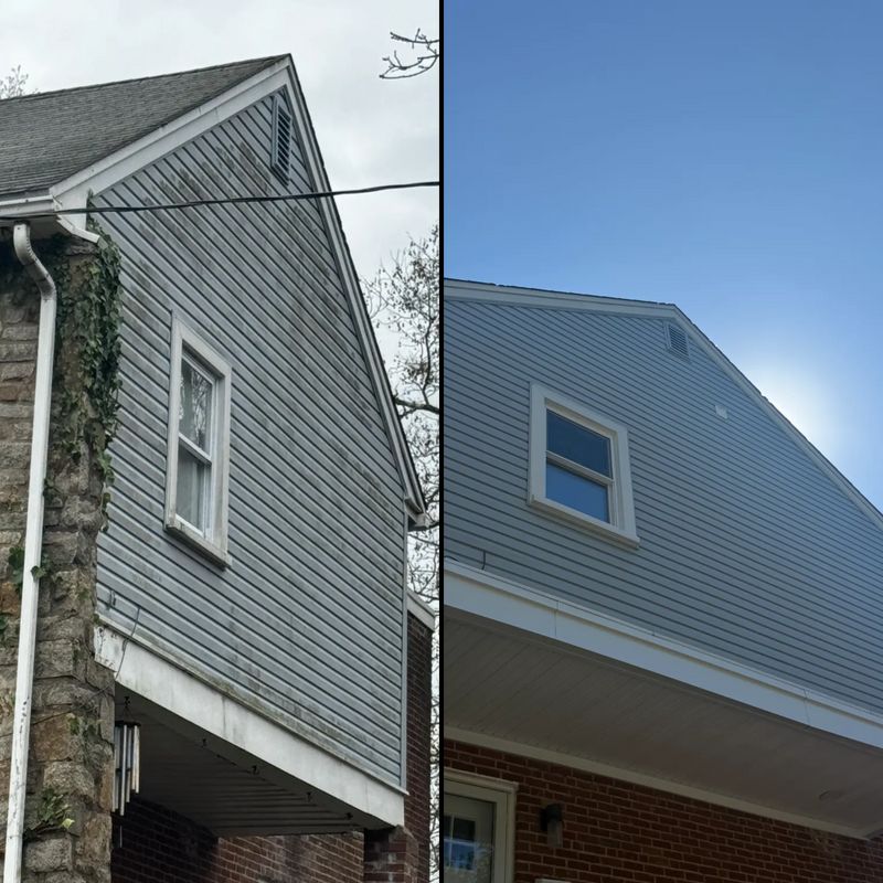 Power washing/Soft washing