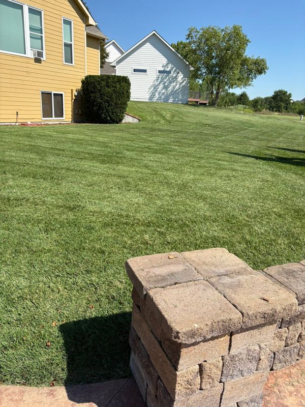 Lawn Maintenance
