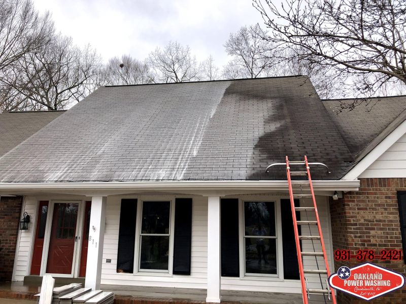 House and Roof Softwash