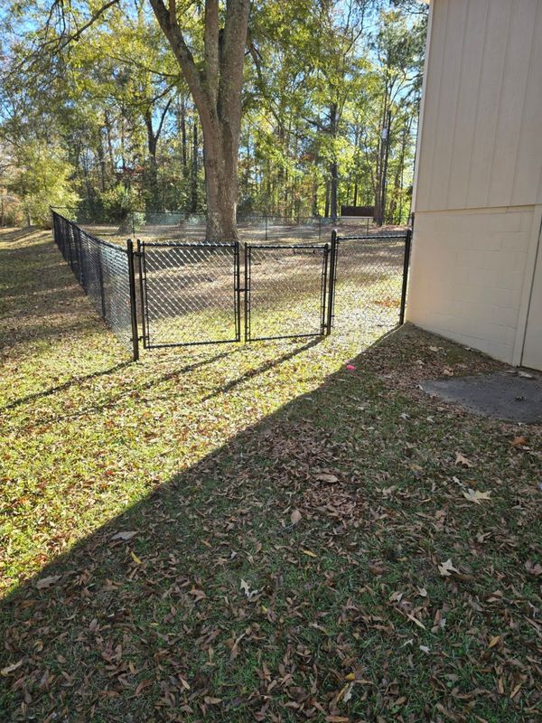 Chain Link 