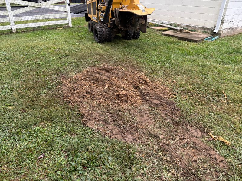 Stump Removal