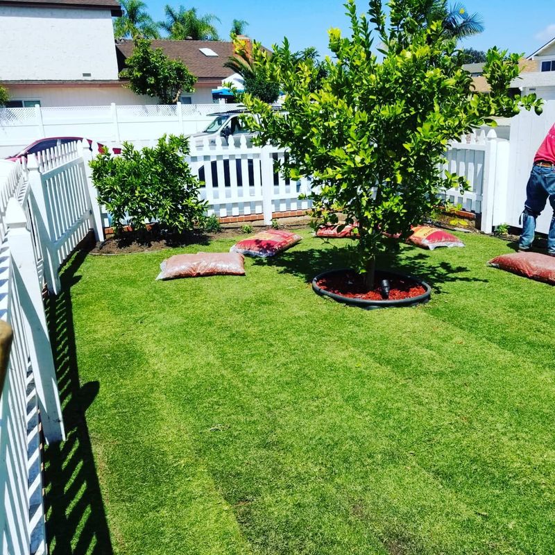 Garden Maintenance