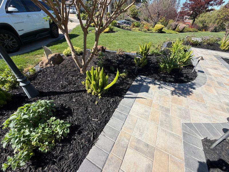 Landscaping