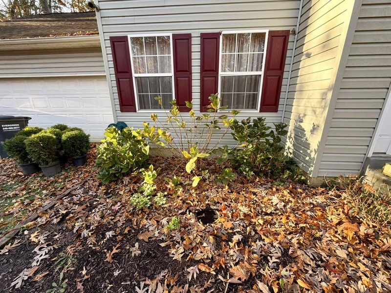 Mulch Installation