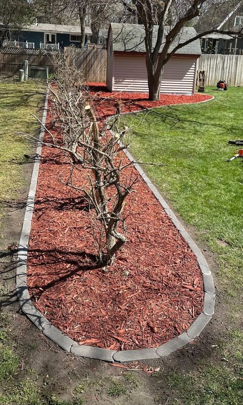 Shrub Trimming