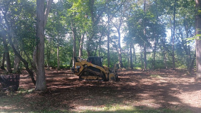 Forestry Mulching