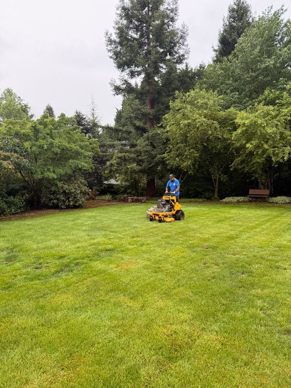 Mowing