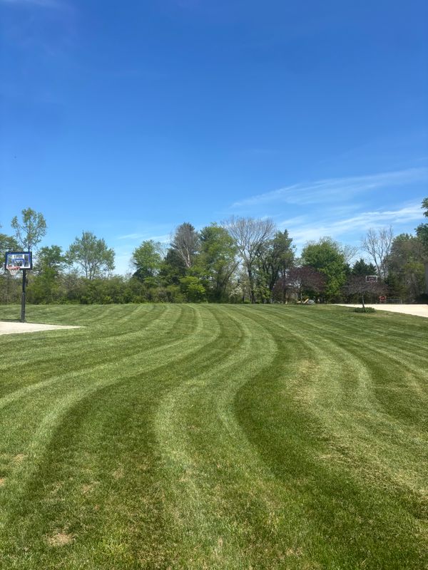 Lawn Maintenance