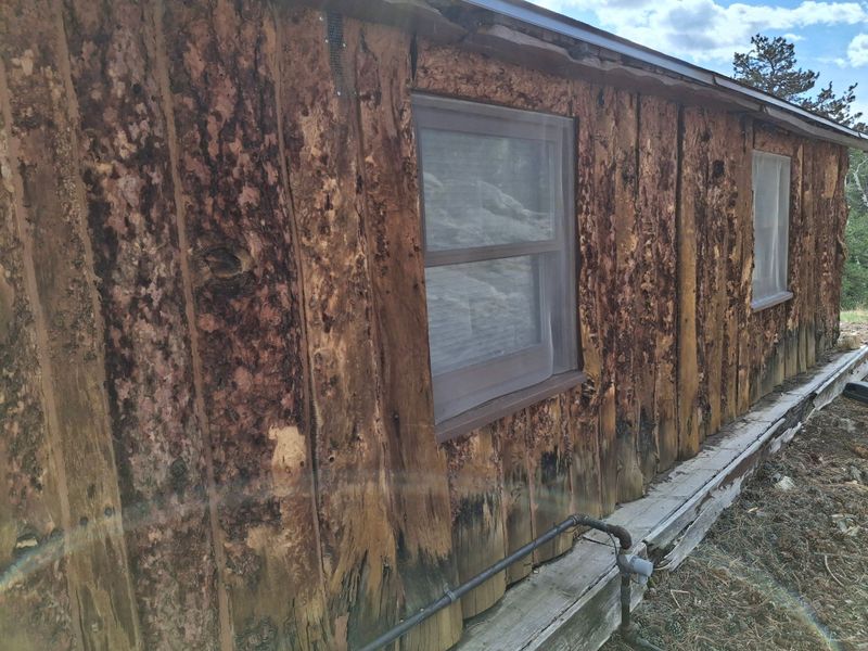 Log Repair and Replacement