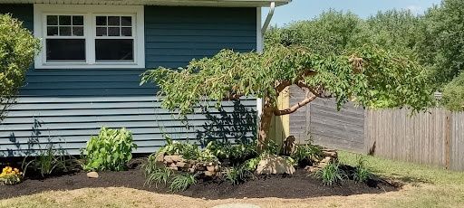 Shrub Trimming