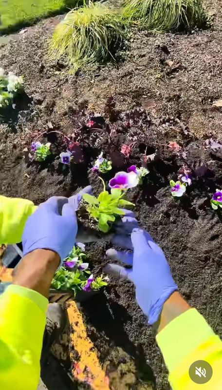 Fall and Spring Clean Up