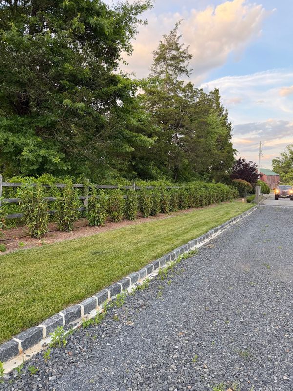 Privacy Hedges