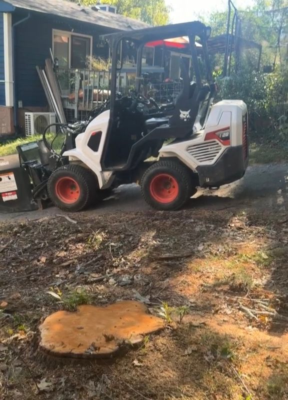 Elevating Safety and Beauty with Expert Stump Grinding