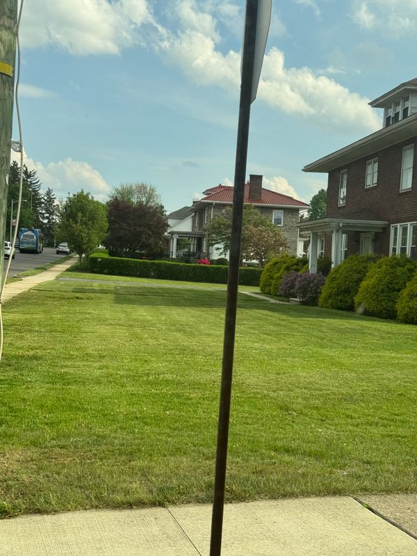 Lawn care