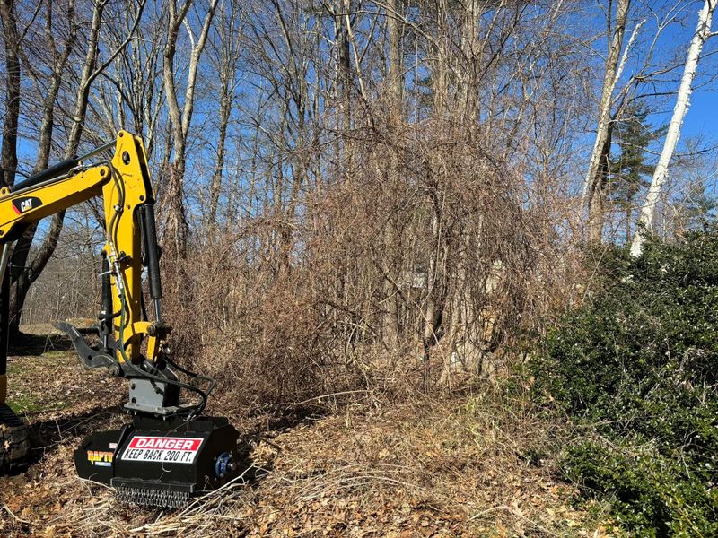 Forestry Mulching