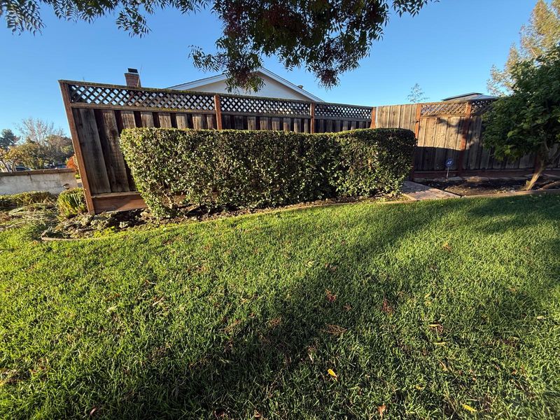 Landscaping