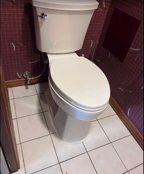 Toilet Repairs & Replacement