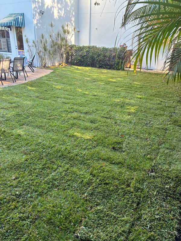 Sod Installation