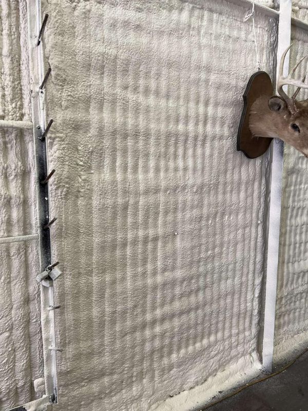 Spray Foam Insulation