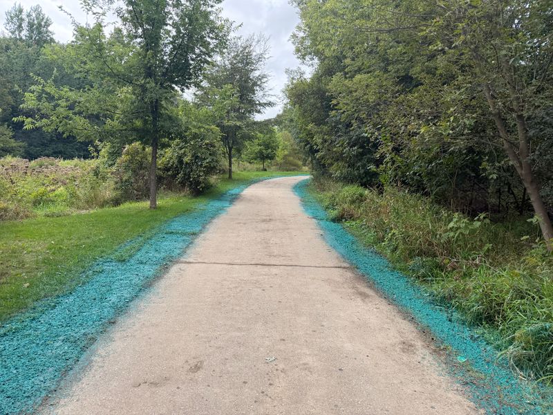 Hydroseeding