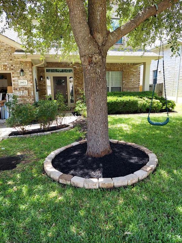 Tree and Shrub Care