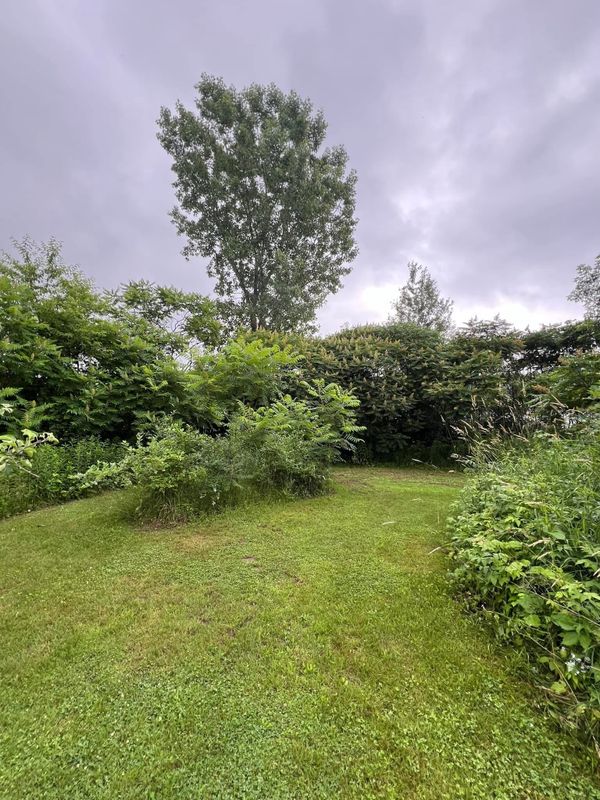 Landscaping and Hardscaping