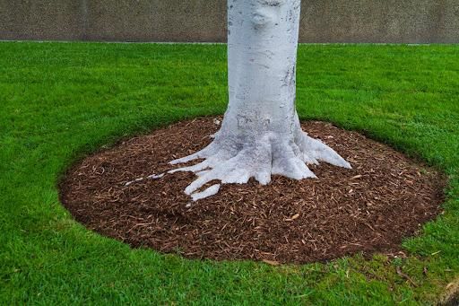 Mulch Installation