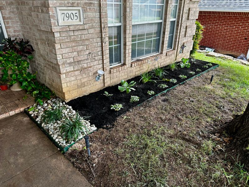 Landscape Design and Installation