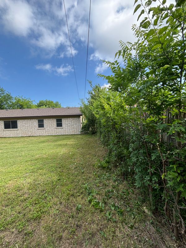 Shrubbery trimming and removal