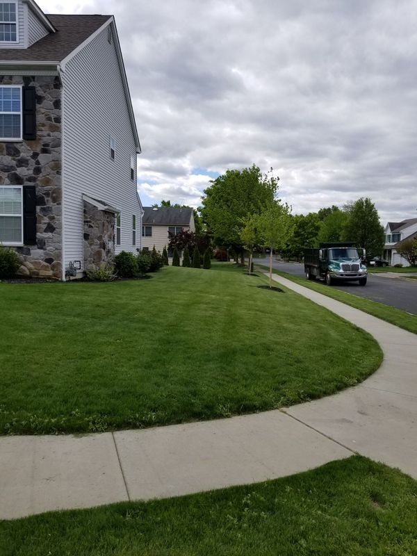 Lawn Care