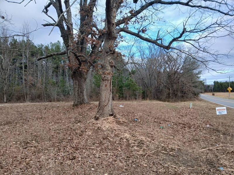 Forestry Mulching