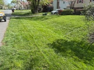 Mowing