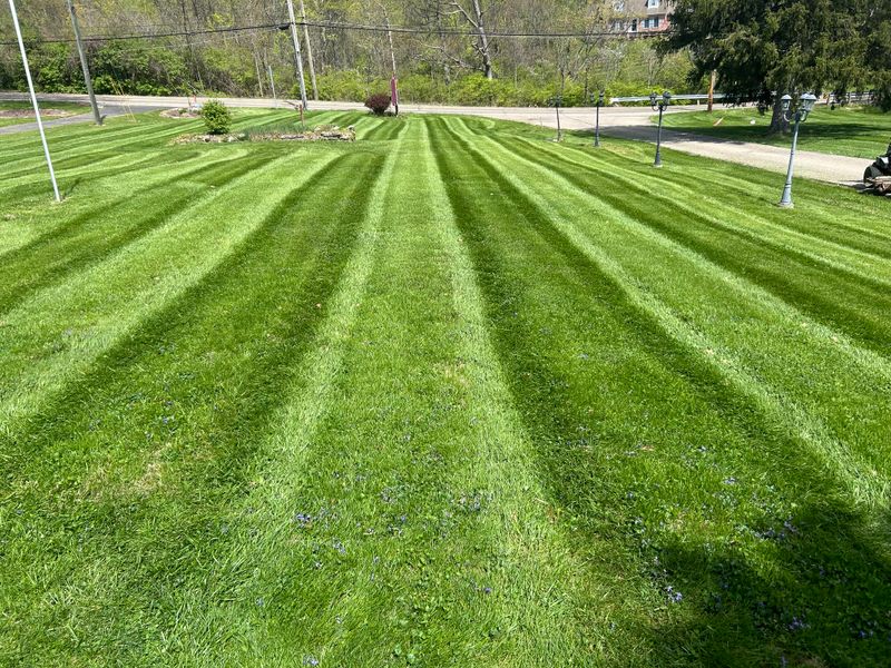 Our Mowing