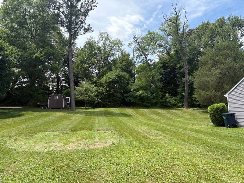 Lawn Maintenance