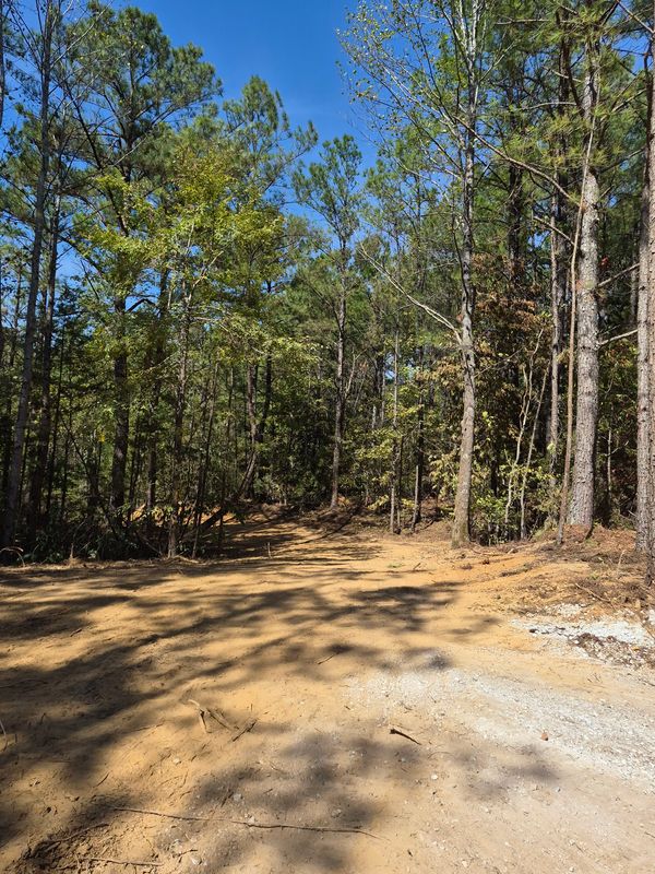 Land Clearing