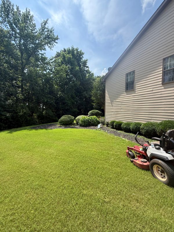 Lawn Maintenance