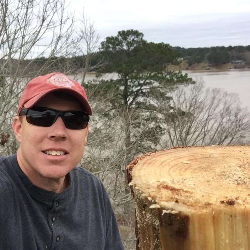 Tree Removal gallery