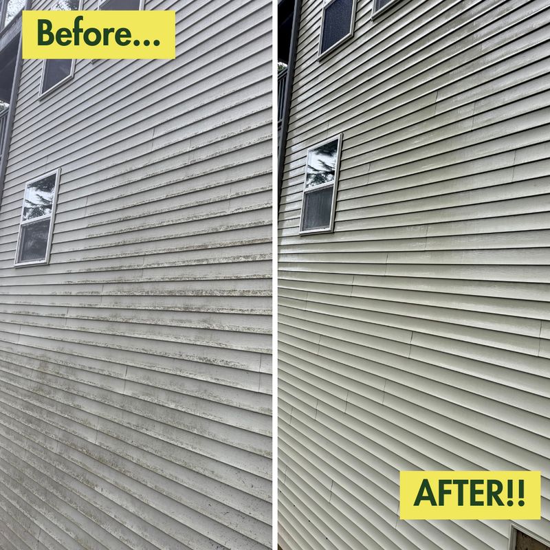 Before & After Photos
