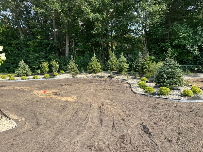 Landscaping