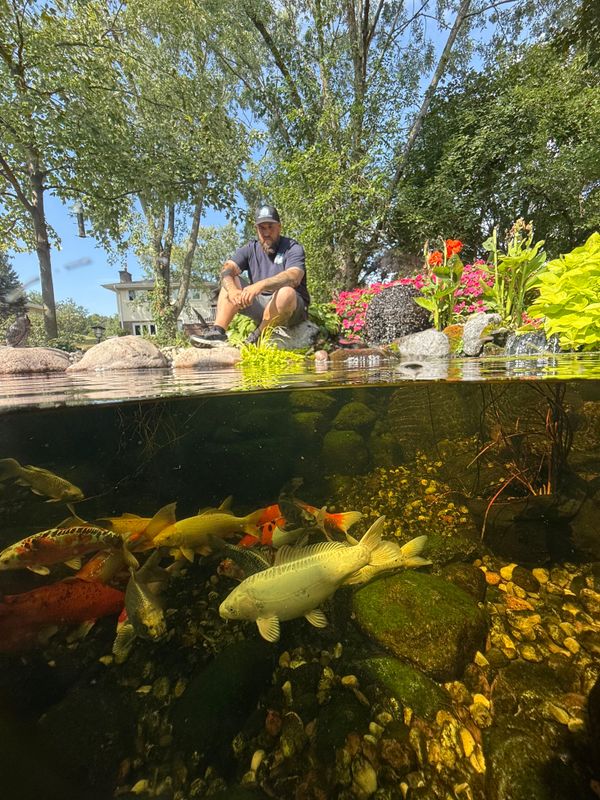 Ecosystem Ponds