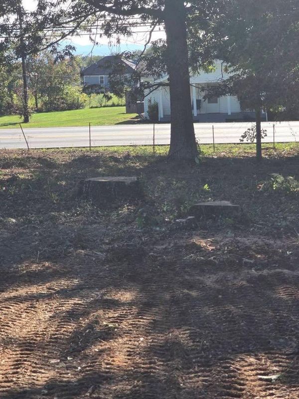 Stump Removal