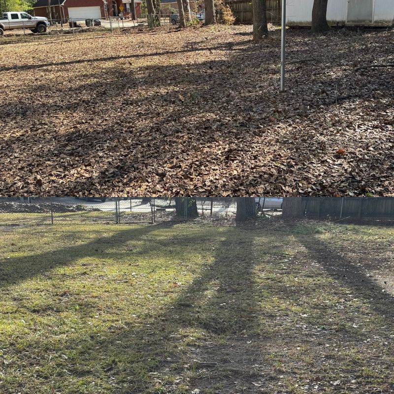 Land Managment 