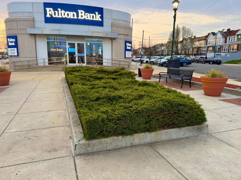 Tree & Shrub Care