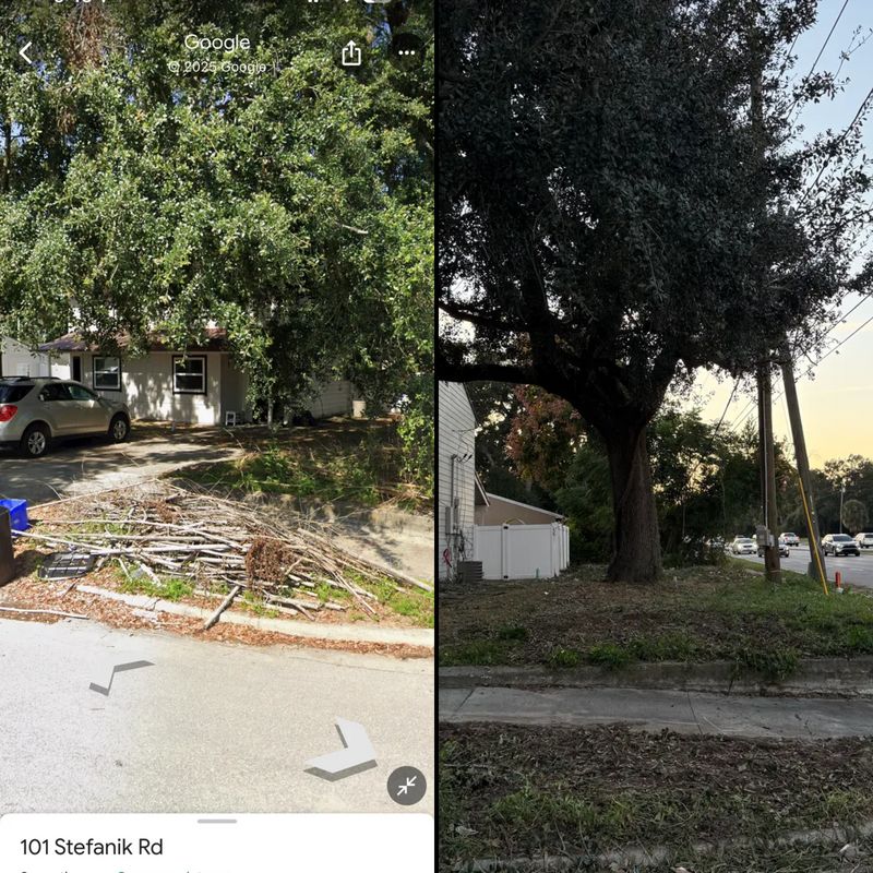 Land Clearing