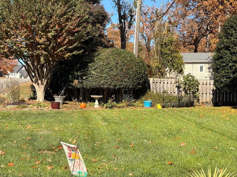 Other Lawn Maintenance