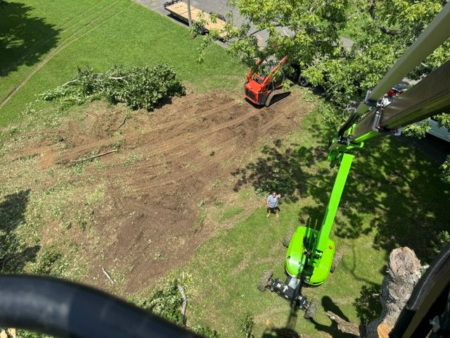 Lot Clearing