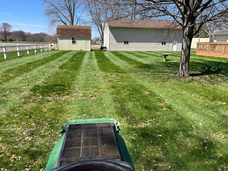 Lawn Maintenance